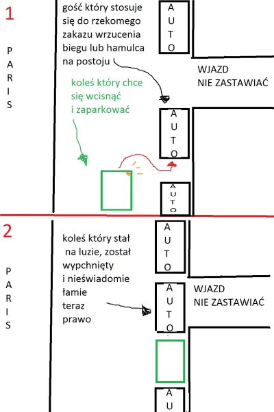 t.....t - Niektórzy tutaj mówią o tym że niby we Francji jest zakaz zostawiania auta ...