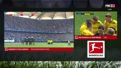 Minieri - Kibice HSV
#mecz #meczgif