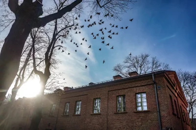 Lodz - Normalnie #zima w pełni ( ͡° ͜ʖ ͡°) Pogoda dziś iście spacerowa więc zapraszam...