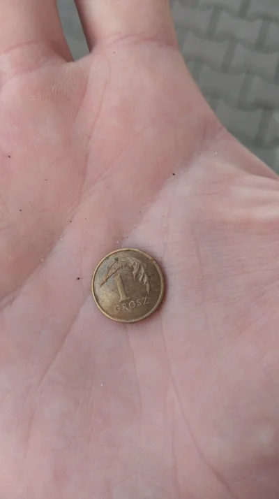 Powiedzmiswojelekii_fobie - Dziś dostrzegłem taka oto śliczna monetę. Niestety ogólni...