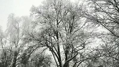 trusia - Oh, jak pięknie! 
#snieg #zima #trojmiasto #sopot