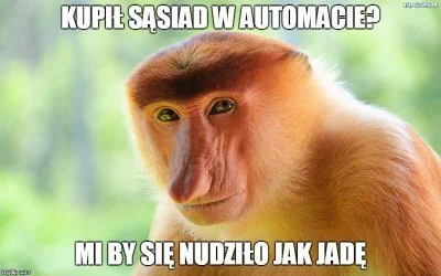 Hujlo - #heheszki #polak #humorobrazkowy #byloaledobre