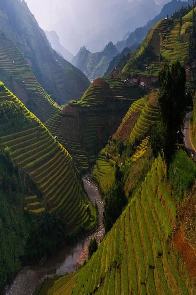 kono123 - Dolina pełna terasów, Buthan 
 
#ciekawostki #buthan #himalaje #earthporn