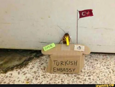 FlaszGordon - @starnak: @Gr3gor: Turecka ambasada dementuje jakiekolwiek zaangażowani...