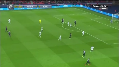 Minieri - Ibrahimović, PSG - Rennes 2:0
#mecz #golgif #justzlatanthings