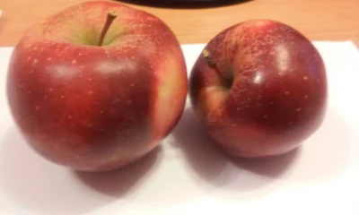 laaalaaa - Dziś zabrałam dwa jabłuszka do #pracbaza ( ͡° ͜ʖ ͡°)
SPOILER
SPOILER

...