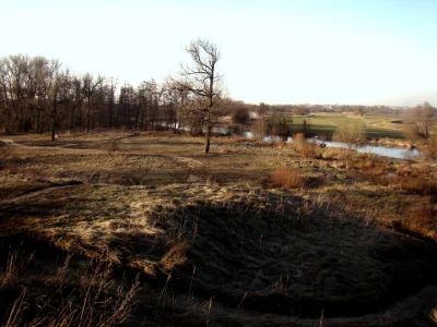 Migfirefox - Tak fajnie już było a teraz znów śnieg.

#ladnywidok