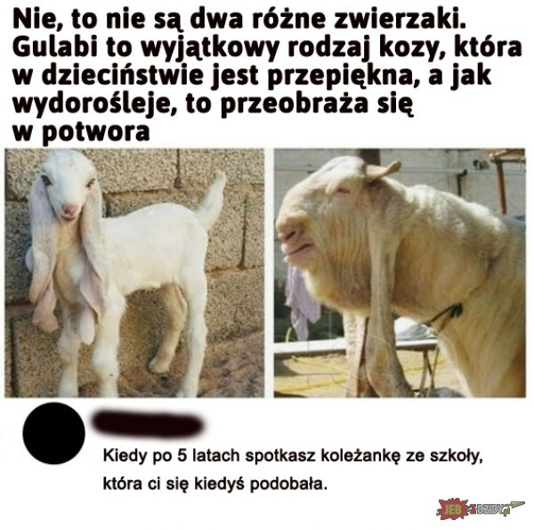 Badoo koza Zoznam slovenského