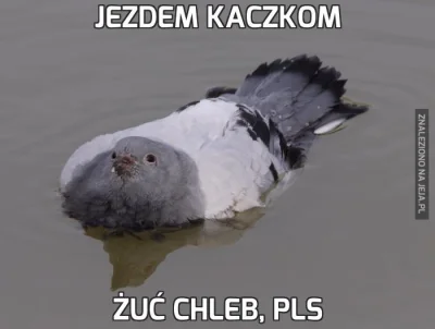 behereit - @Snuffkin: Dobrego chlebka nigdy im dość :)