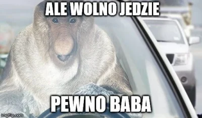 wlepierwot - #polak #nosaczsundajski #gownowpis #heheszki #humorobrazkowy #takaprawda...