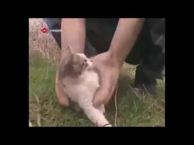 ChrisMcCandless - #heheszki #gif #koty
W sumie to dość ciekawe rozwiązanie problemu ...