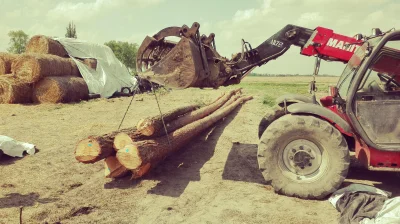 Luko - Cały dzień dzisiaj praca przy zwożeniu drewna na dach ale na szczęście wieczor...