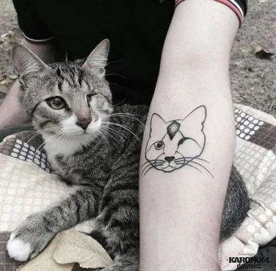 Castellano - #koty #tatuaze

#castellanocontent - mój tag, gdzie wrzucam interesują...