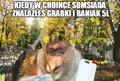 w.....z - #humorobrazkowy #nosacz #polak #dzienzmarlych