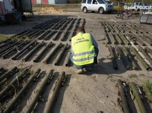 inz-bieda - Niedlugo beda wsadzac za samo posiadanie takiego zdjecia na komputerze: