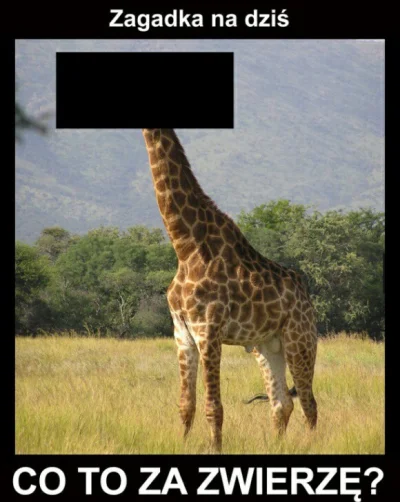 bazylo - Kolejna #zagadka #prawienocna
Z ostatnią wam jakoś suabo poszło (⌐ ͡■ ͜ʖ ͡■)