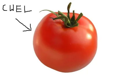 lazer - czy wy jecie pomidora ze skórką? ja nigdy
pamiętam, że jak byłem mały mama o...