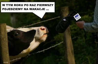 chamik - Tymczasem TVP podczas strajku krowa500+

#humorobrazkowy #heheszki #strajk...