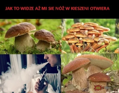 ryanrazdwa - #humorobrazkowy #heheszki
#vapenation XD