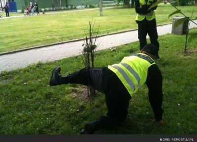 3nriqu3 - Co ta milicja obywatelska to ja nie... Ja to tu tylko zostawię.



#policja...