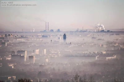 f.....d - węgiel przyszłością narodu xd #smog