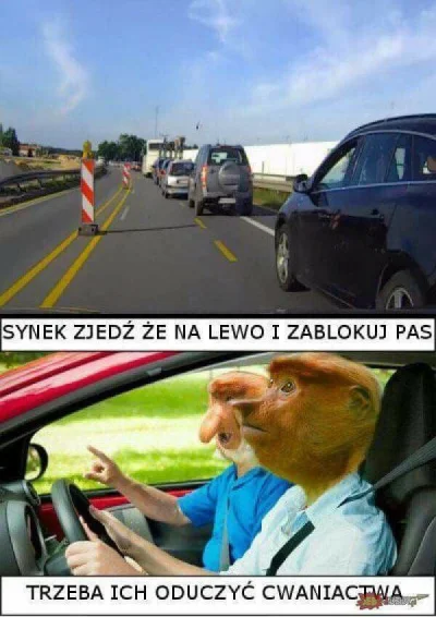 n.....t - #humorobrazkowy #polak #szeryfdrogowy