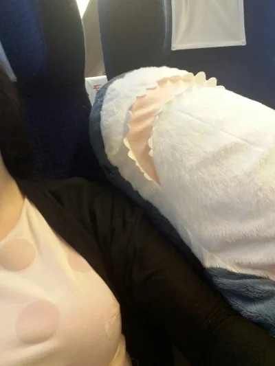 dorotka-wu - Ledwo wsiadł do pociągu i juz śpi ^^
#whatever #blahaj