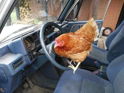 olmaz - A kiedyś się stąd wyrwę..
SPOILER