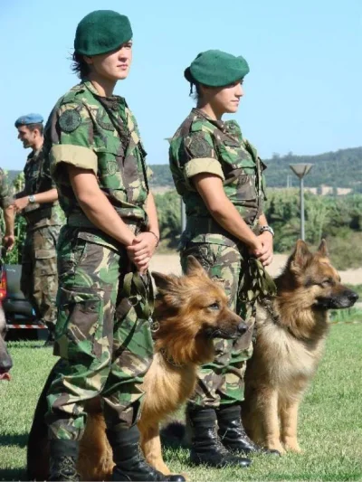 janoosh - #armyboners #portugalia #armia #dpm #kamuflaz #disruptivepatternmaterial