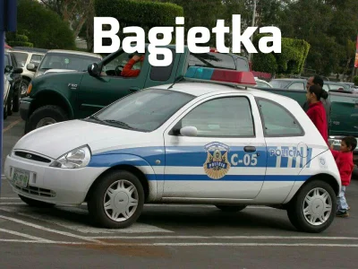 pogop - #kacepcja #pogopsuszy #heheszki #humorobrazkowy #policja #bagiety #samochody ...