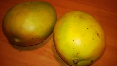 eDameXxX - Testujemy 



#mango #trees