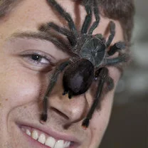 czeslaw_sliwa - Jeśli ktoś ma arachnofobie to czy rzucacie mu pająka na twarz i obraż...
