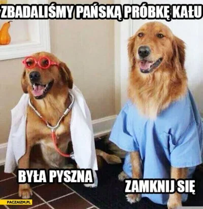 paszczurek - #humorobrazkowy #heheszki