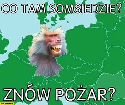 yolantarutowicz