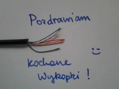 radoskan - @3mielu: niet, jakieś zwykłe panasonic bodajże. @crosfire: masę włożyć do ...