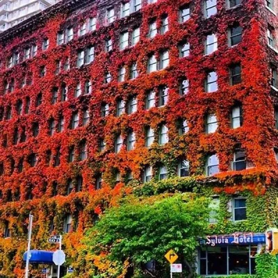 cieliczka - Hotel, który zmienia kolor wraz z porą roku (Kanada) #architektura #natur...