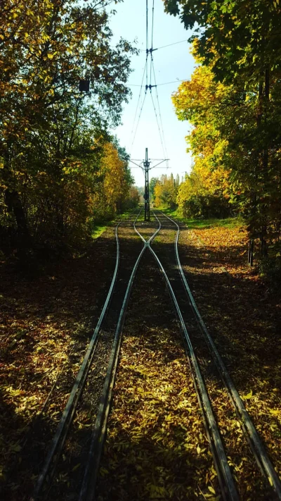 lukkattoni - Mireczki, taki widok ode mnie z kabiny w tramwaju #pracbaza #mpkkrakow