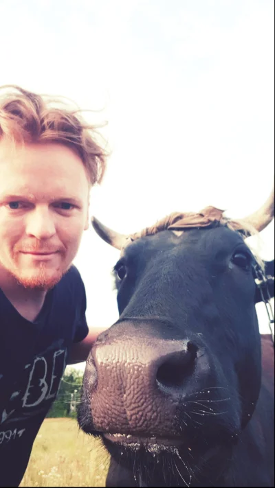 wsmith84 - Napotkana przyjazna krowa pozwoliła zrobić sobie wspólne zdjęcie.

Podwojn...