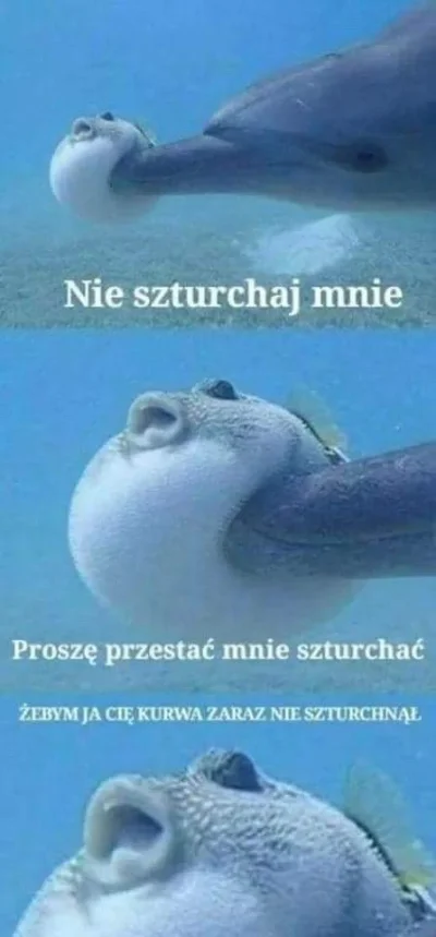 Wierszu - #heheszki #humorobrazkowy #smieszneobrazki