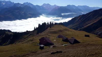 manedhel - Alpejska hala Oberniese na 1800 m