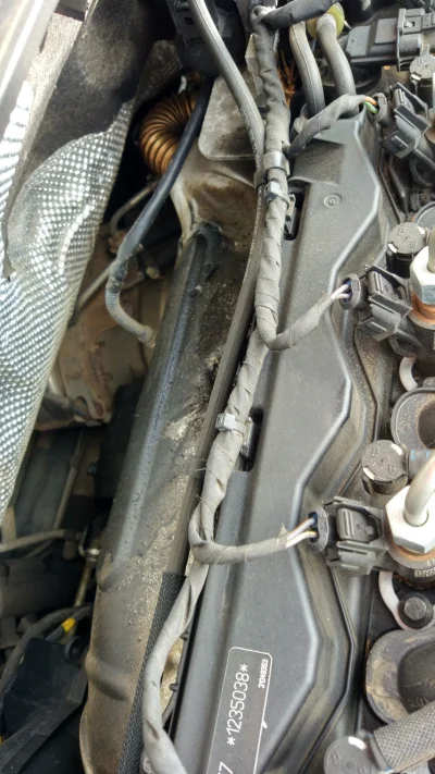 Januszwsandalach - @Januszwsandalach: