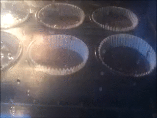 nielubieselera - #wannabefoodporn #brzydkigif #gif #samrobilem #prawiejakmuffin