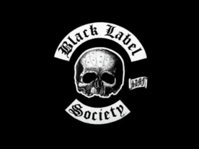 tomwolf - Black Label Society - You Must Be Blind
#muzykawolfika #muzyka #metal #sto...