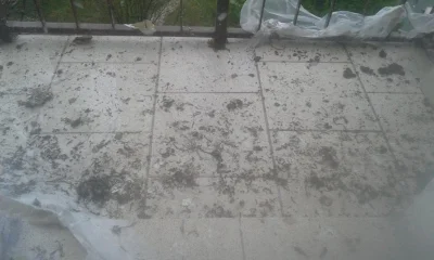 isInteger - @tejotte: tak wyglądał mój balkon, nienawidzę tych latających szczurów ( ...