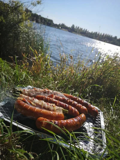 riizzlaa - A grilla nad jeziorem robimy tak (bo żyjemy w normalnym kraju i sklepy są ...