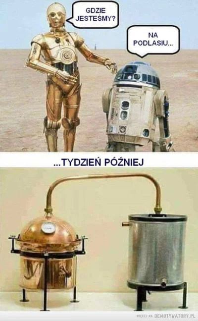 sargento - #heheszki #starwars #podlasie