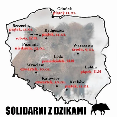 Bezsprzecznie - Cała Polska solidarna z dzikami! 
Dziś #Katowice i #Wrocław, jutro #...