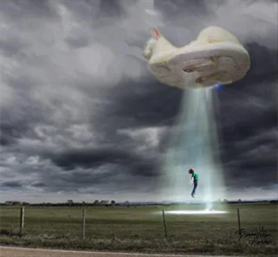 G.....p - #heheszki #smiesznypiesek #iwanttobelieve #ufo #koty #kot