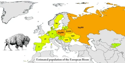 orkako - #europa #zubr #ciekawostki #zwierzeta #gruparatowaniapoziomu

Populacje żu...