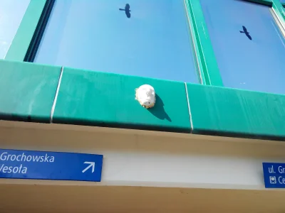 gobi12 - Ktoś przylepil maskę do przejścia podziemnego na Płowieckiej. 

#warszawa #s...